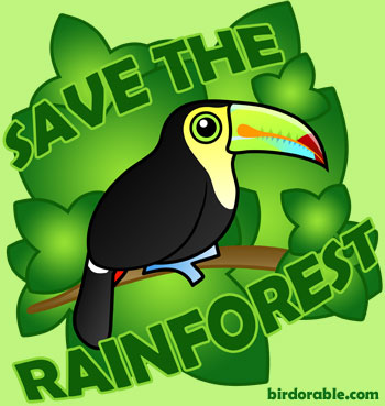 Save the rainforests