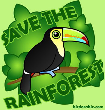 Save the rainforests – The Wildcat Tribune