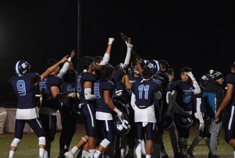 The Dougherty Valley Wildcats celebrate after a touchdown.