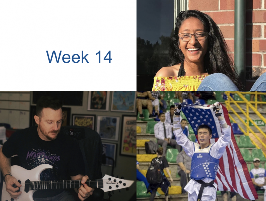 Humans of DV: Week 14