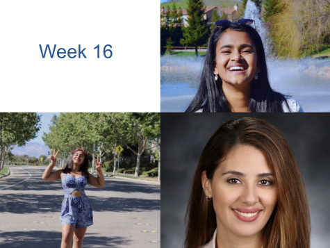 Humans of DV: Week 16
