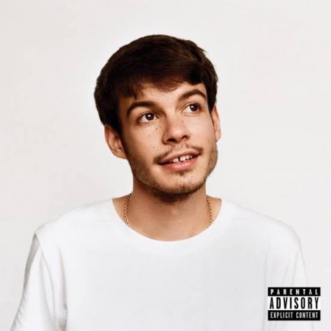 Rex Orange County’s newest album “Pony” is refreshing and uplifting.