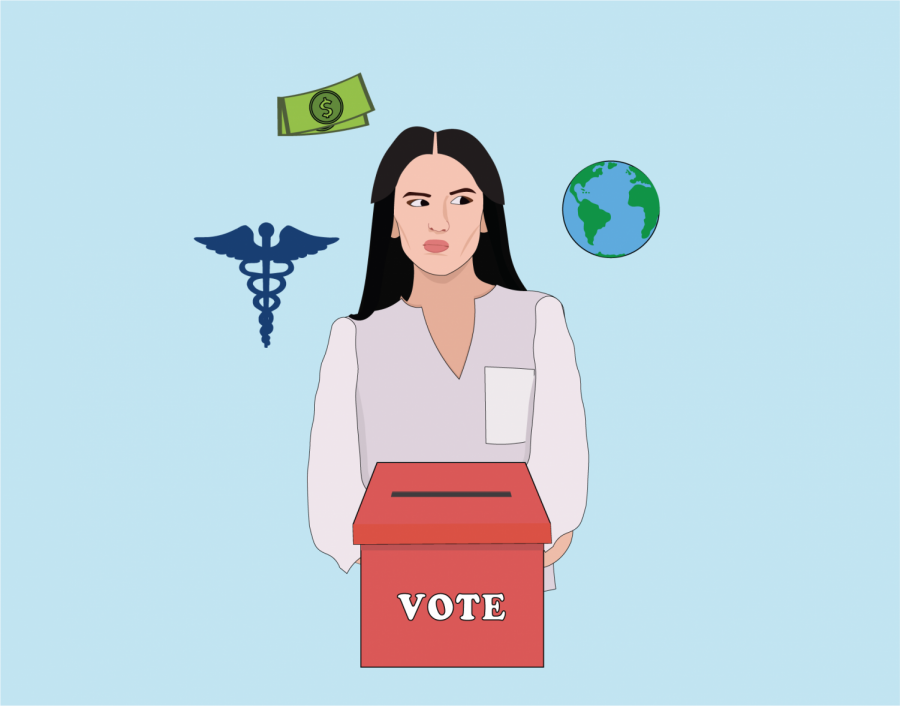 Going into the 2020 elections, voters should consider policy positions on issues such as healthcare, the environment and the economy, rather than “electability.”