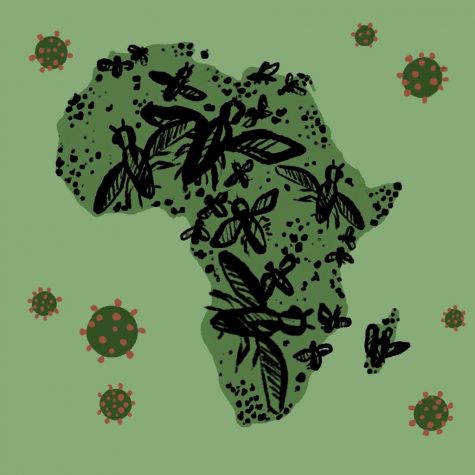 As the threat of COVID-19 continues, locust swarms add more pressure to African society.