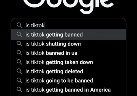 The decision to ban the Chinese apps TikTok and WeChat is purely politically motivated and would threaten the rights of American consumers while harming the Asian-American community.
