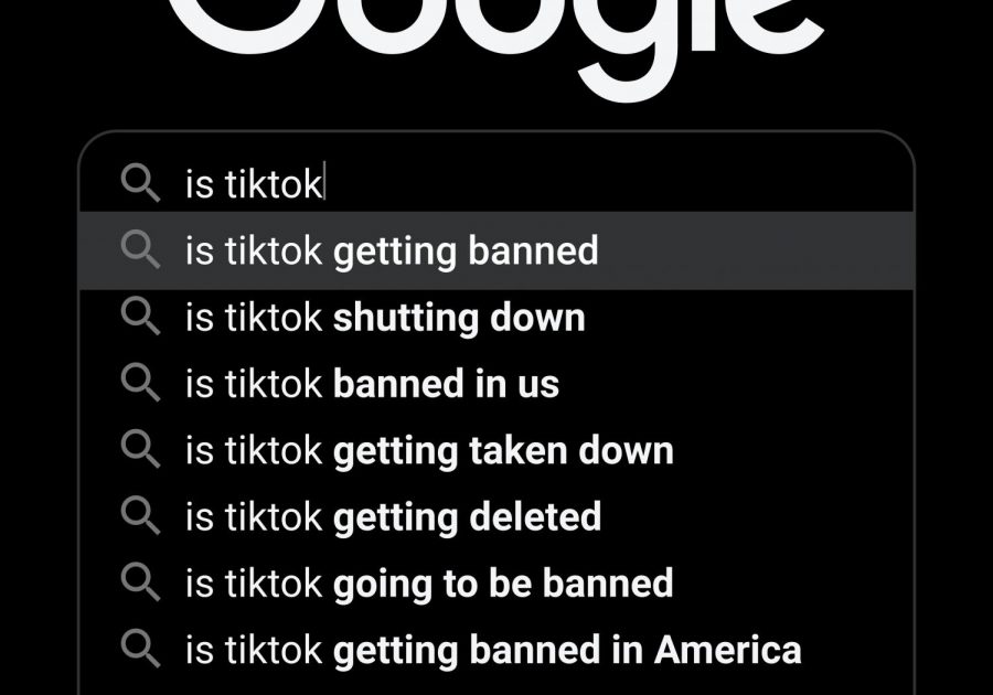 The+decision+to+ban+the+Chinese+apps+TikTok+and+WeChat+is+purely+politically+motivated+and+would+threaten+the+rights+of+American+consumers+while+harming+the+Asian-American+community.