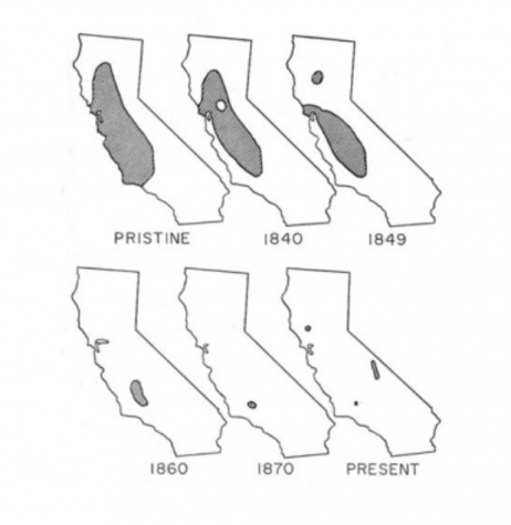 Tule Elk Population Distribution Maps of California, Past to Present