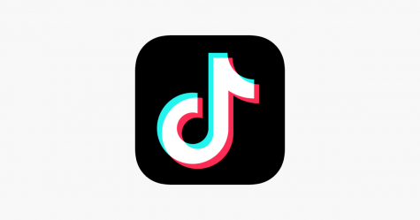 TikTok songs are ever-popular with the app growing, but its questionable whether their popularity reflects quality.