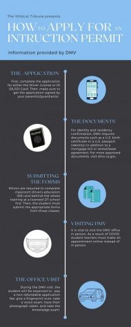 This infographic provides an overview of the process of obtaining a driving permit in California, from applying for the test to submitting required forms to visiting the office, using text and supplementary images.