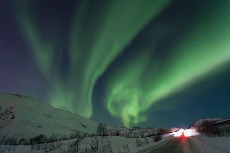 A majestic green aurora lights up the sky in the dark in an area filled with snow
