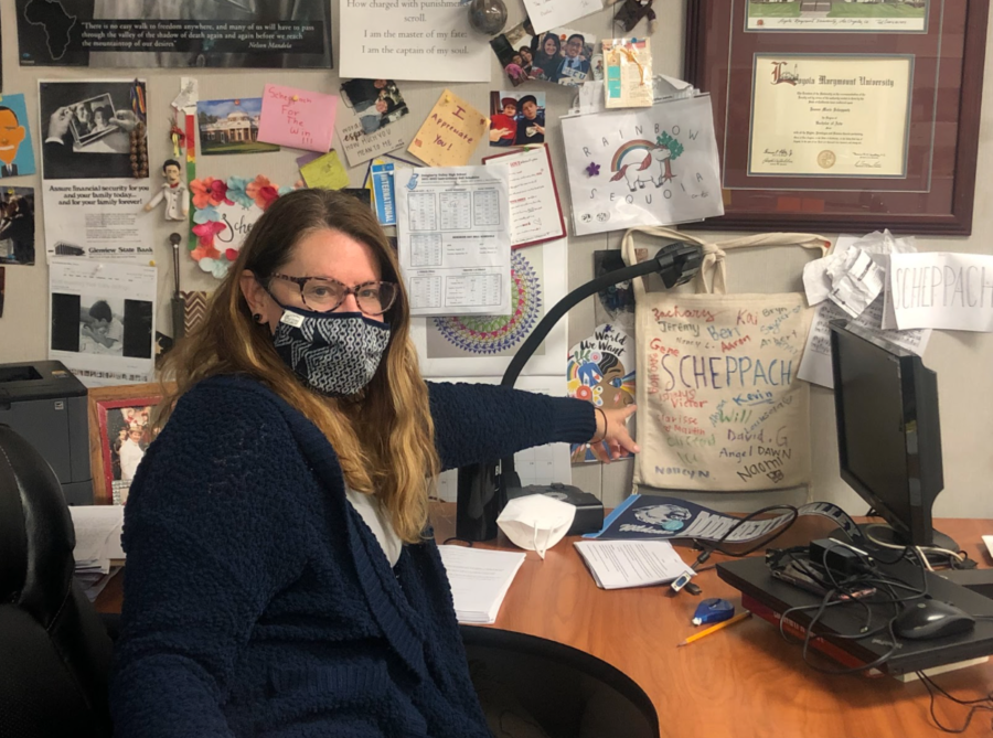 Mrs. Scheppech is an AP US History and AP Government History Teacher at Dougherty Valley High School.