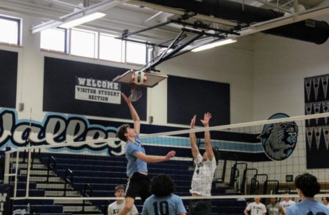 Alexander Daveynis reaches high for the ball to tip it over the net.
