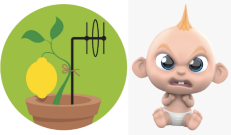 A picture of a plant on the left, and an angry baby on the right