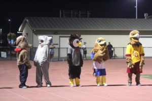 The mascots include one bear, Willie the Wildcat, an owl, and two hawks.