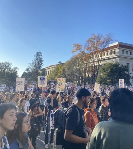  UC Berkeley academic works attend the UC strike on Sproul Plaza on Nov. 19.