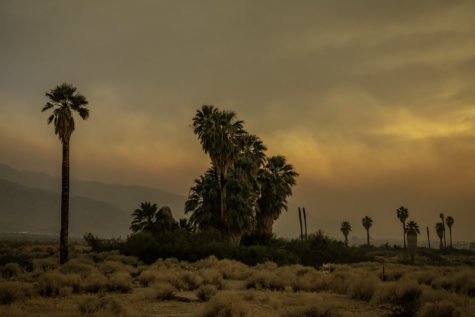 The sun sets behind smoke from the Oasis of Mara Fire at Joshua National Park in 2018