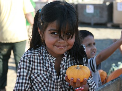 Pumpkin patches are the perfect way to capture the fall experience.