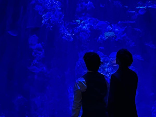 Two DVHS students look closely at the aquarium. 