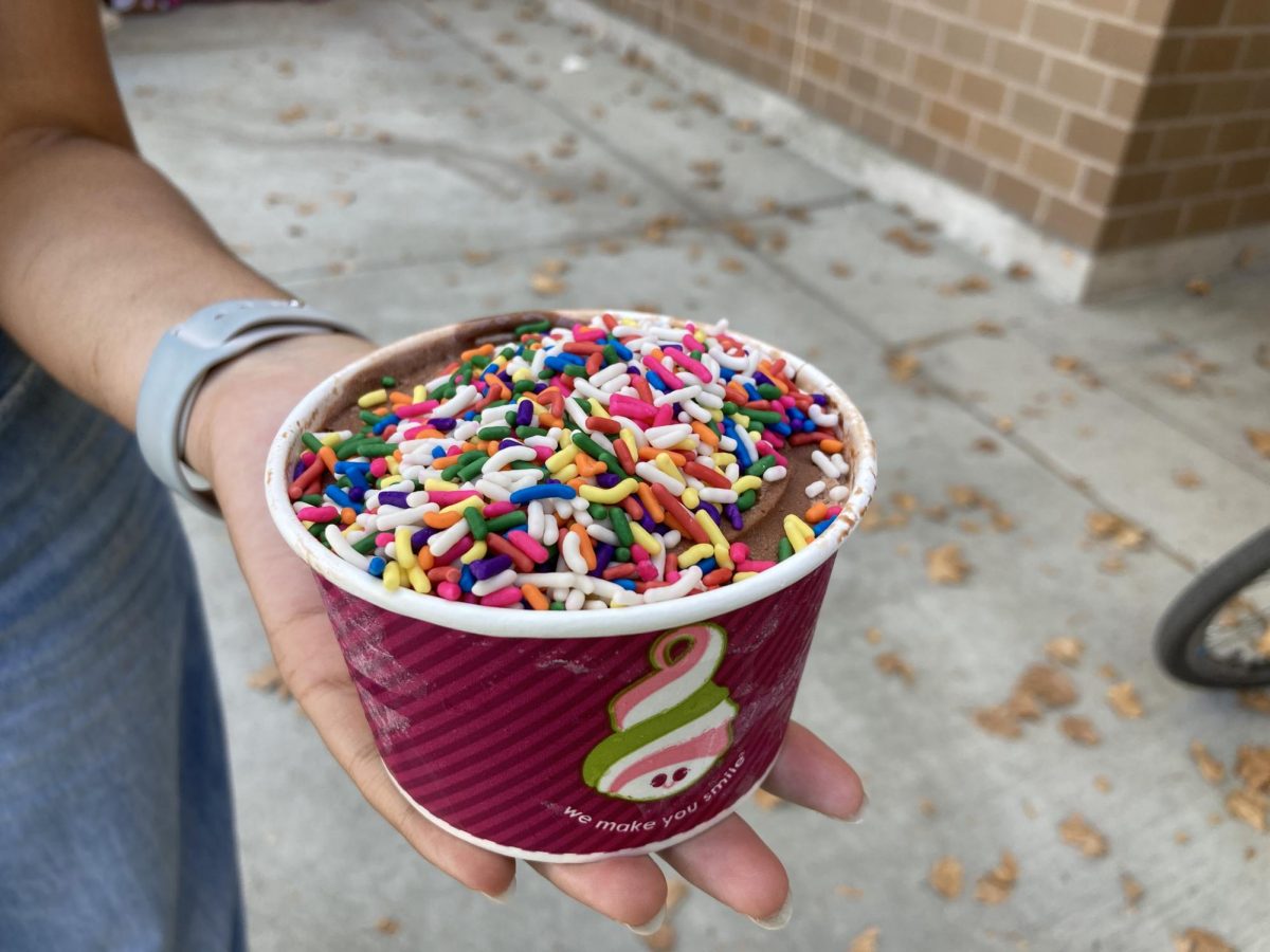 Cups of froyo have become a familiar after-school sight on campus.