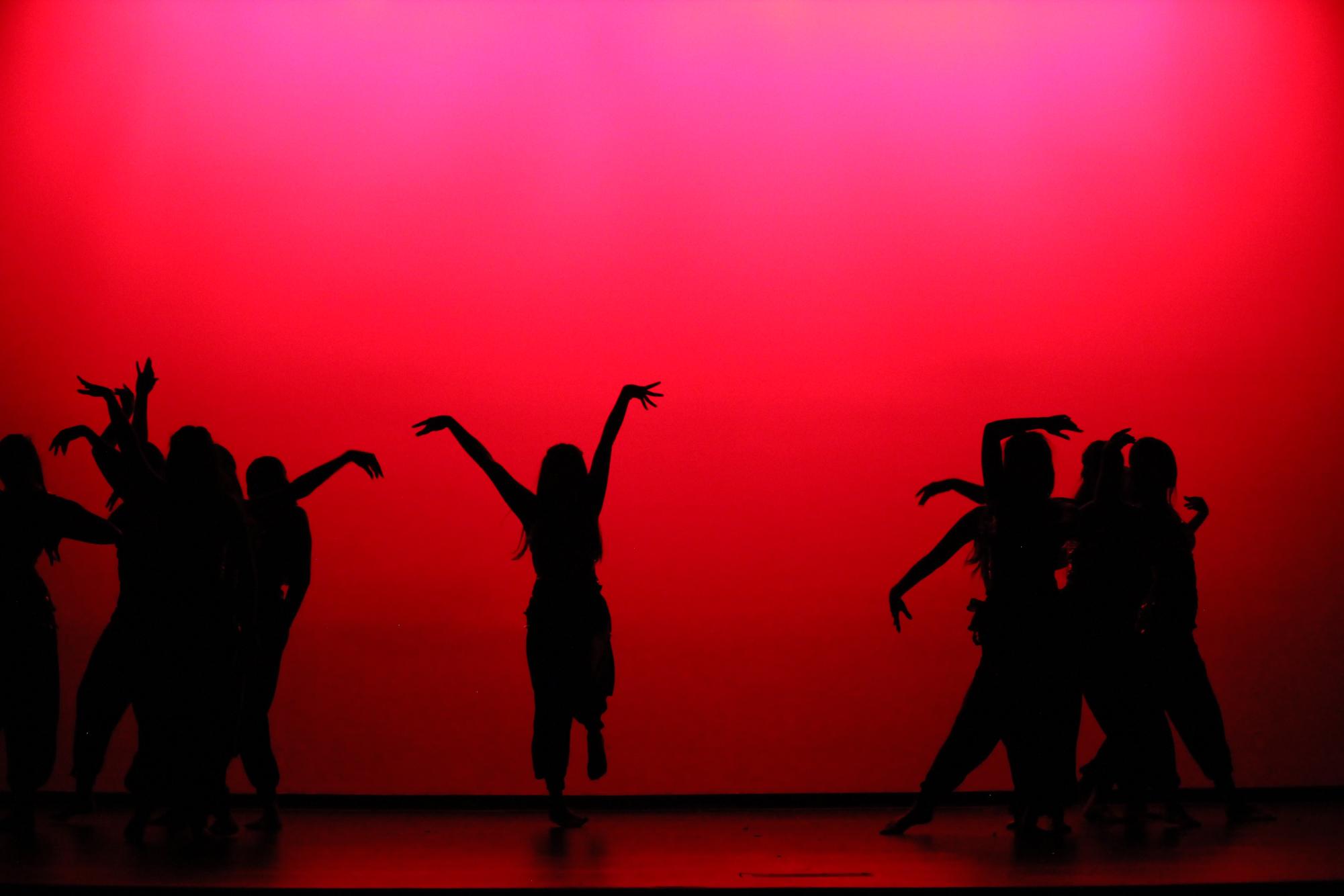 Winter Dance Show 2024