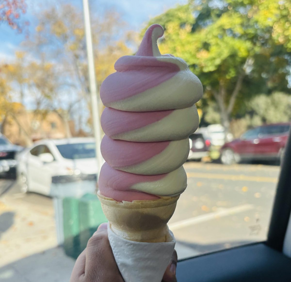 Meadowlark Dairy in Pleasanton offers various holiday flavors like pumpkin spice, eggnog, and many more.