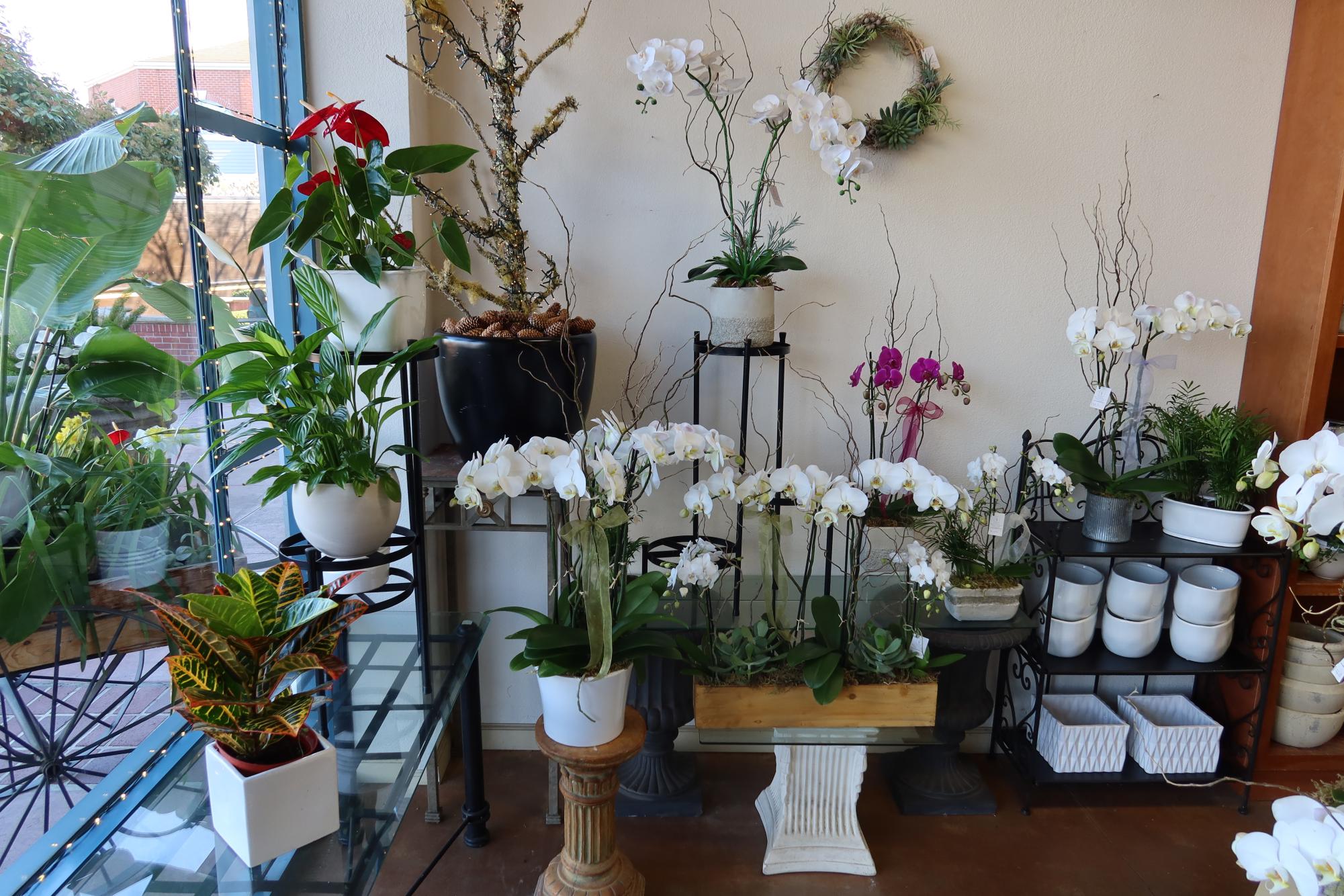 Blossoms and Bouquets: Exploring local flower shops in San Ramon