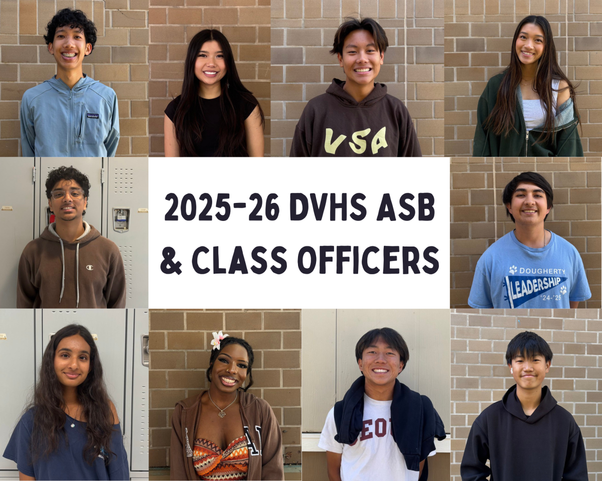 (From left to right): Junior Matthew Nguyen, junior Kei Vo, junior Ethan Nguyen, junior Alyssa Yee, junior Hamza Rafiuddin, sophomore Gannon Gage, sophomore Sahana Panchal, sophomore Angel Adeoti, freshman Jayden Yeow and freshman Timothy Lee will be the ASB and class officers for next year. 