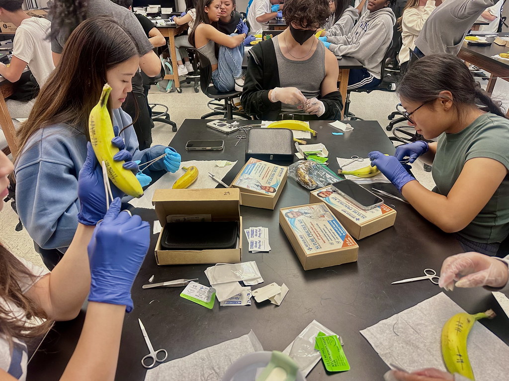 Students in DVHS’s Sports Medicine class practice techniques on bananas, simulating real-life medical procedures in a hands-on lab activity.
