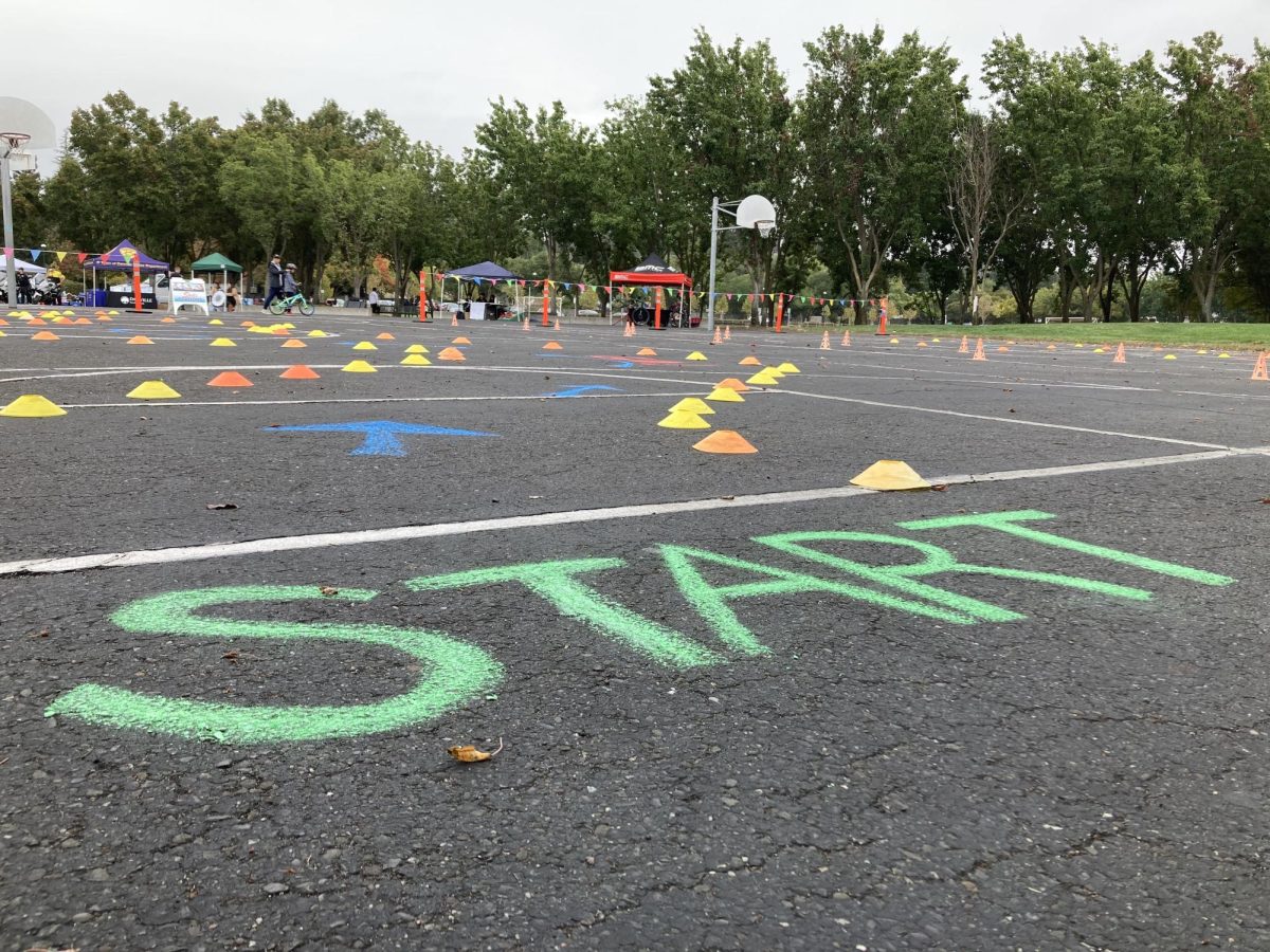 The Street Smarts Community Bike Festival incorporated an obstacle course for young bikers to test their skills.
