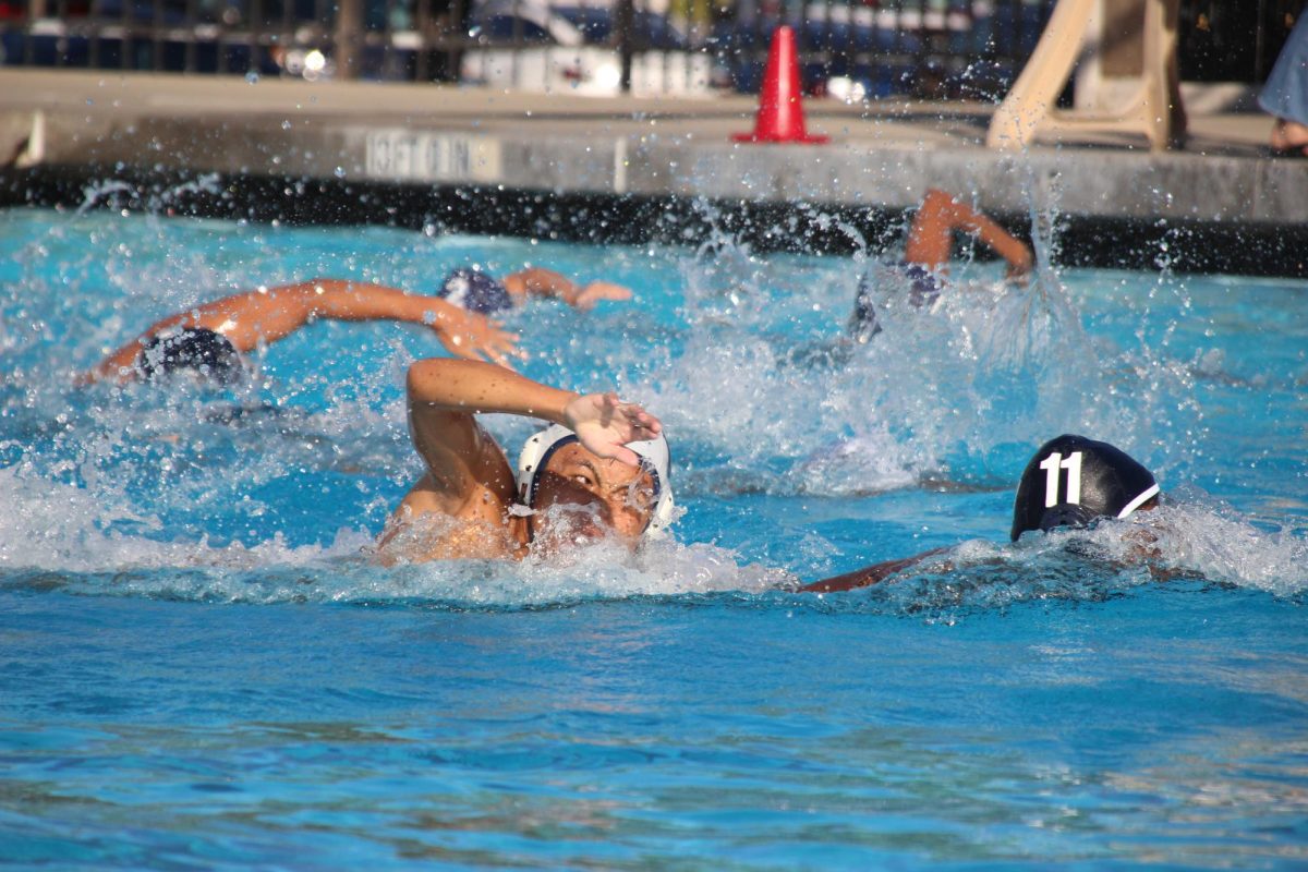 Men’s water polo at practice on Aug. 27, 2025.