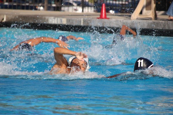 Navigation to Story: DV water polo athletes learn to fight to stay afloat