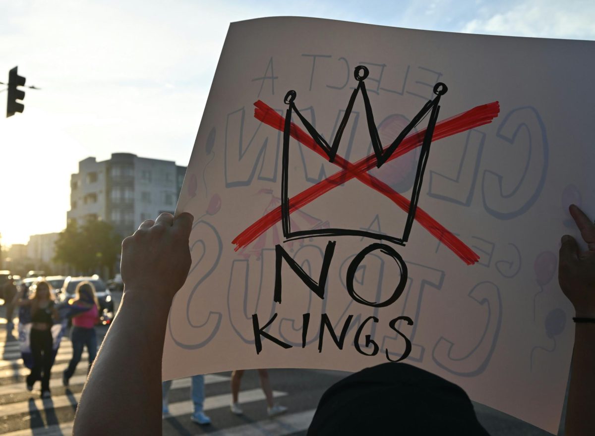 A protestor holds up a sign challenging the Trump administration at a No Kings protest in LA.