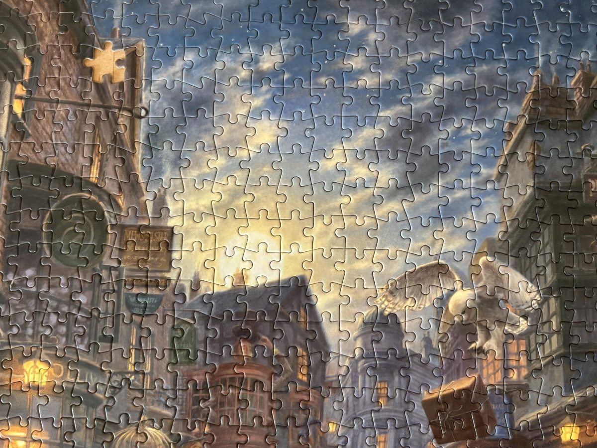 Every puzzler’s nightmare. Here’s a picture of a 1,000-piece Harry Potter puzzle I worked on over winter break. If you’re wondering about the missing piece, my dog ate it.
